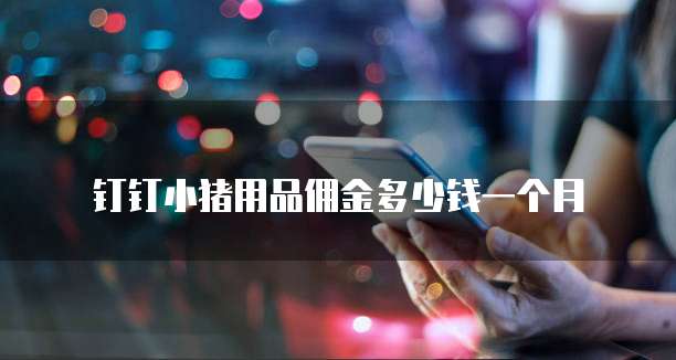 钉钉小猪用品佣金多少钱一个月