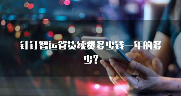 钉钉智运管货续费多少钱一年的多少？