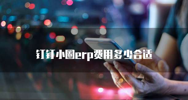 钉钉小圈erp费用多少合适