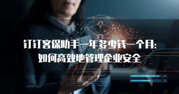 钉钉客保助手一年多少钱一个月:如何高效地管理企业安全