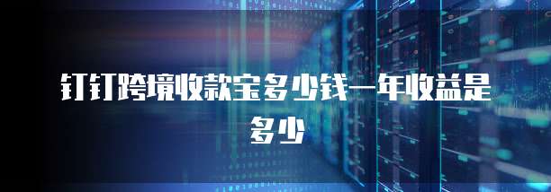 钉钉跨境收款宝多少钱一年收益是多少