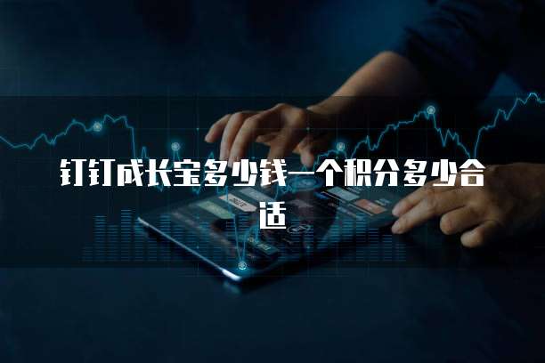 钉钉成长宝多少钱一个积分多少合适