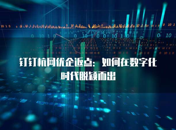 钉钉杭网优企返点:如何在数字化时代脱颖而出