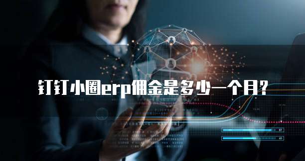 钉钉小圈erp佣金是多少一个月?