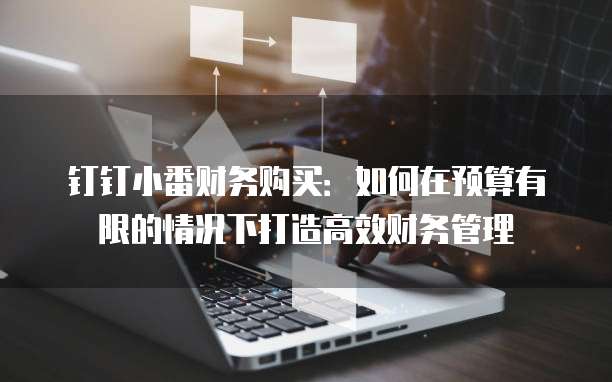 钉钉小番财务购买:如何在预算有限的情况下打造高效财务管理