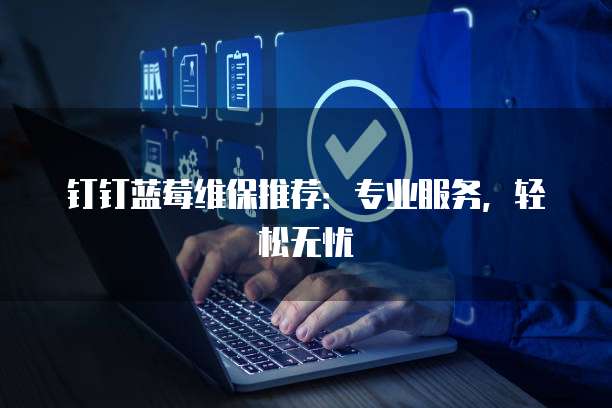钉钉蓝莓维保推荐:专业服务,轻松无忧