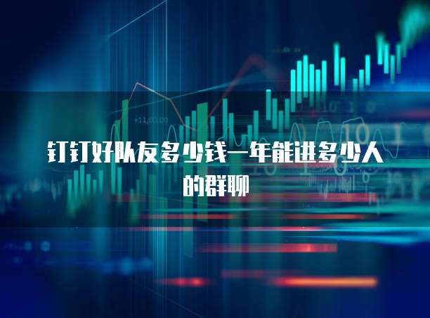 钉钉好队友多少钱一年能进多少人的群聊