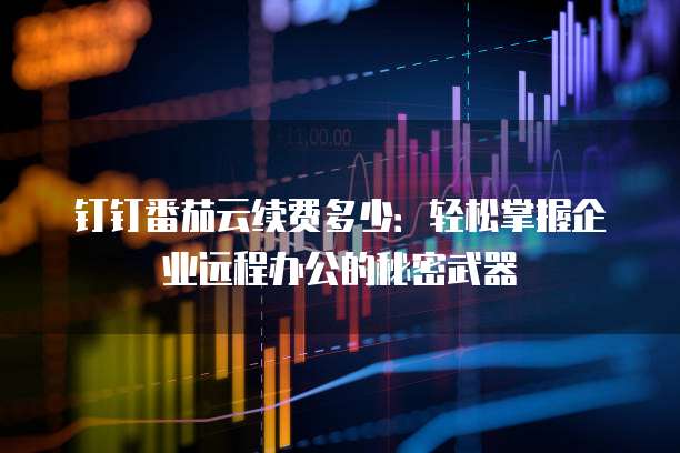 钉钉番茄云续费多少:轻松掌握企业远程办公的秘密武器
