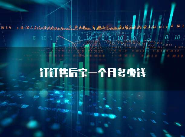 钉钉售后宝一个月多少钱
