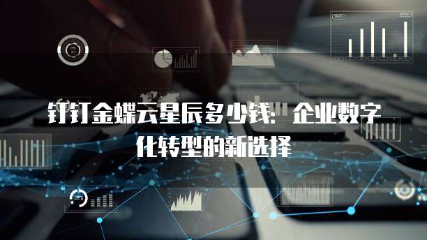 钉钉金蝶云星辰多少钱:企业数字化转型的新选择