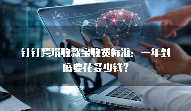 钉钉跨境收款宝收费标准:一年到底要花多少钱?
