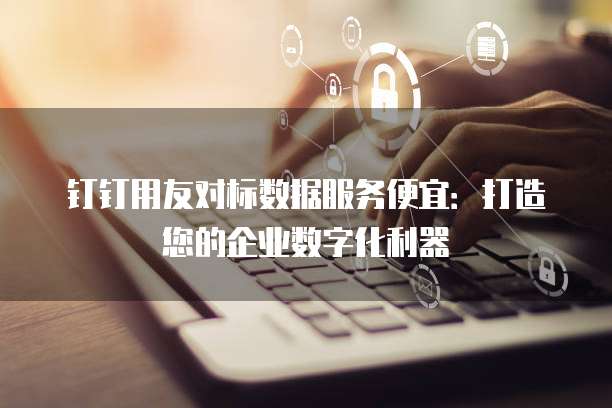 钉钉用友对标数据服务便宜：打造您的企业数字化利器