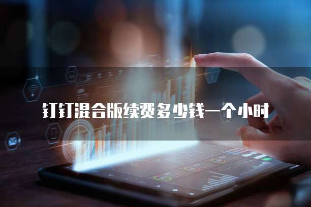 钉钉混合版续费多少钱一个小时