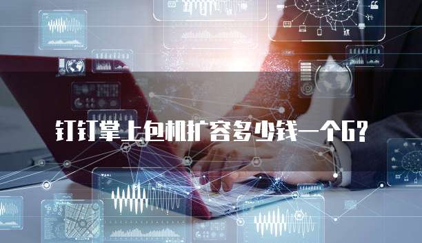钉钉掌上包机扩容多少钱一个G?