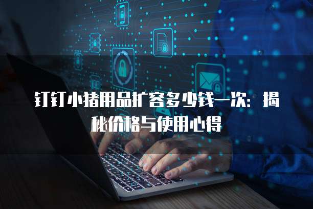 钉钉小猪用品扩容多少钱一次:揭秘价格与使用心得