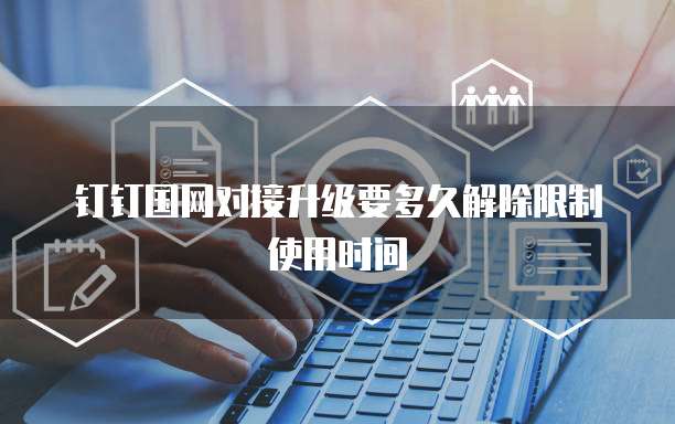 钉钉国网对接升级要多久解除限制使用时间