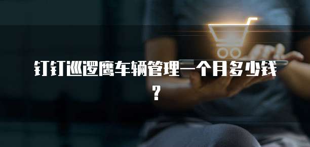 钉钉巡逻鹰车辆管理一个月多少钱?