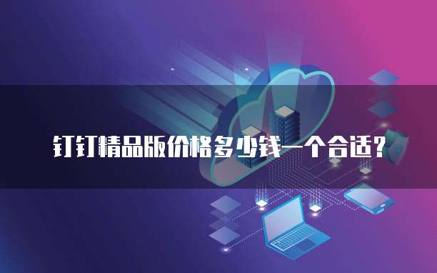 钉钉精品版价格多少钱一个合适?