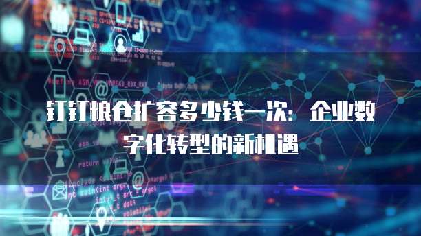 钉钉粮仓扩容多少钱一次:企业数字化转型的新机遇
