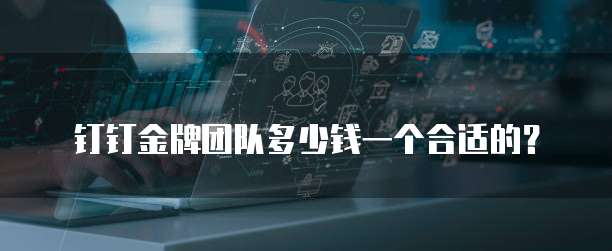 钉钉金牌团队多少钱一个合适的?