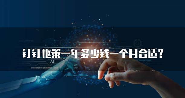 钉钉枢策一年多少钱一个月合适?