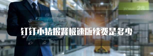 钉钉小猪报餐极速版续费是多少