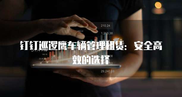 钉钉巡逻鹰车辆管理租赁:安全高效的选择