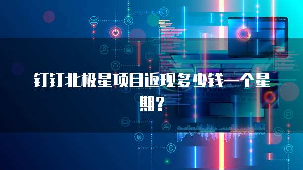 钉钉北极星项目返现多少钱一个星期?