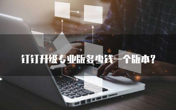钉钉升级专业版多少钱一个版本?