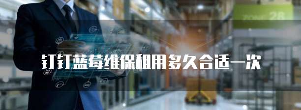 钉钉蓝莓维保租用多久合适一次