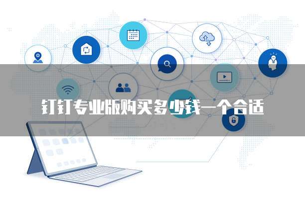 钉钉专业版购买多少钱一个合适