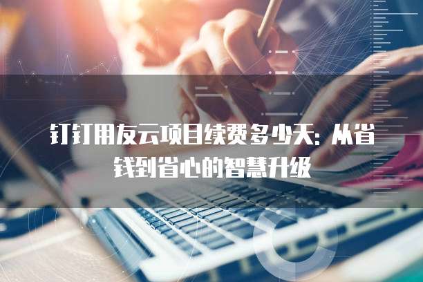 钉钉用友云项目续费多少天: 从省钱到省心的智慧升级