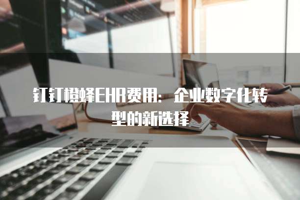 钉钉橙蜂EHR费用：企业数字化转型的新选择