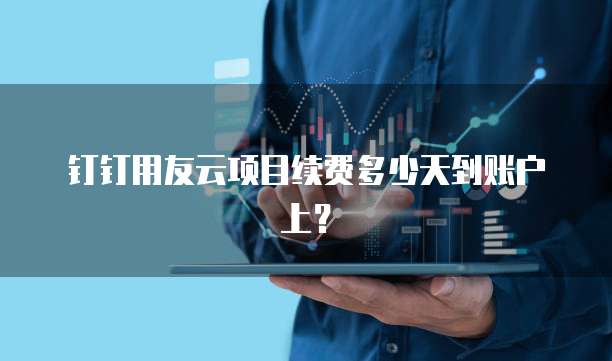 钉钉用友云项目续费多少天到账户上?