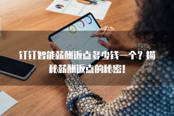 钉钉智能薪酬返点多少钱一个?揭秘薪酬返点的秘密!