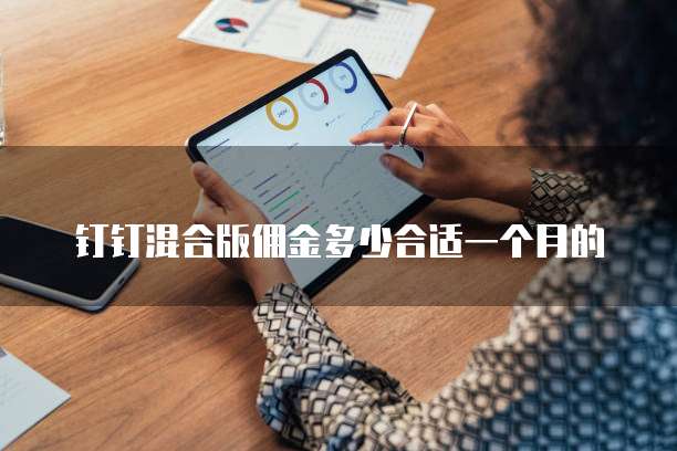 钉钉混合版佣金多少合适一个月的