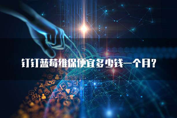 钉钉蓝莓维保便宜多少钱一个月?