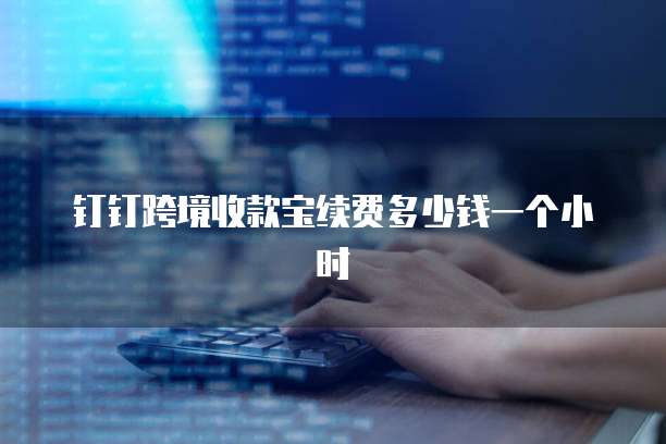 钉钉跨境收款宝续费多少钱一个小时
