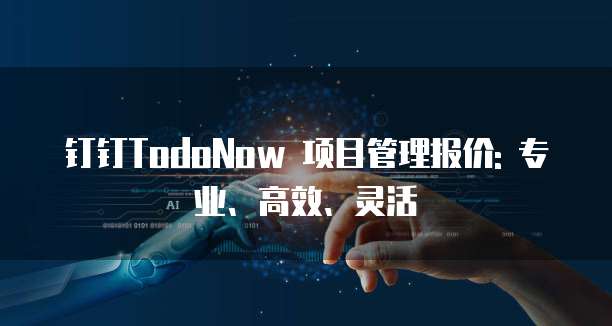 钉钉TodoNow 项目管理报价: 专业、高效、灵活