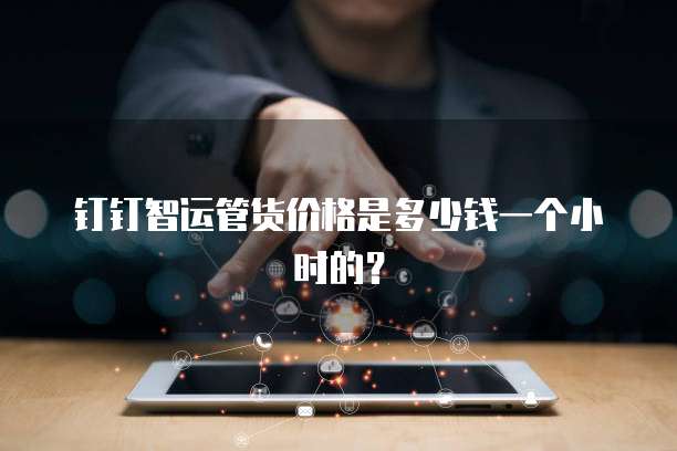 钉钉智运管货价格是多少钱一个小时的?