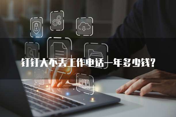 钉钉大不丢工作电话一年多少钱?