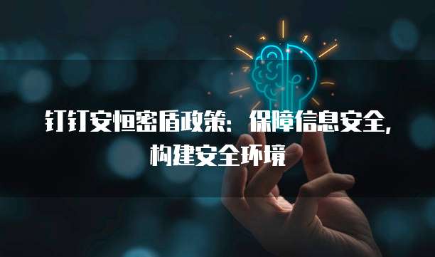 钉钉安恒密盾政策：保障信息安全，构建安全环境