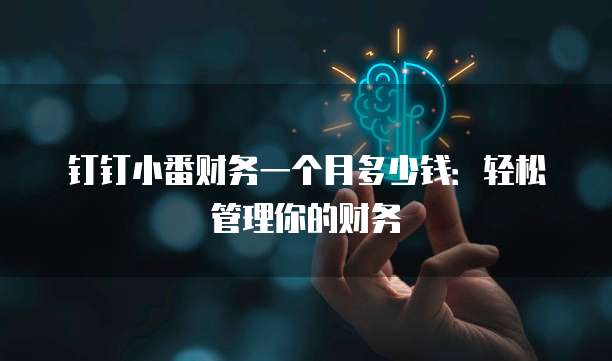 钉钉小番财务一个月多少钱:轻松管理你的财务
