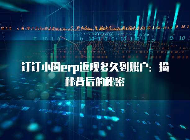 钉钉小圈erp返现多久到账户:揭秘背后的秘密