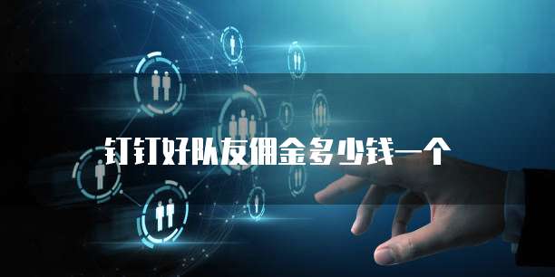 钉钉好队友佣金多少钱一个