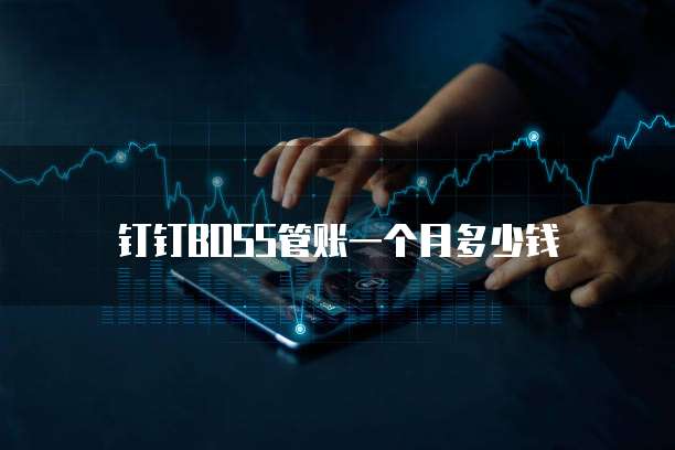 钉钉BOSS管账一个月多少钱