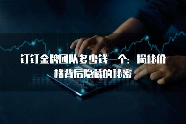 钉钉金牌团队多少钱一个:揭秘价格背后隐藏的秘密