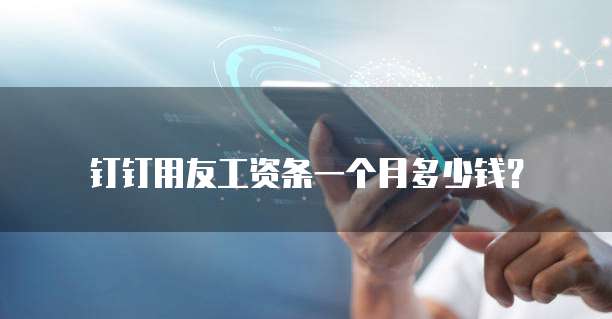 钉钉用友工资条一个月多少钱?
