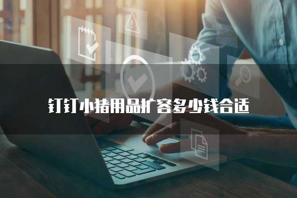 钉钉小猪用品扩容多少钱合适