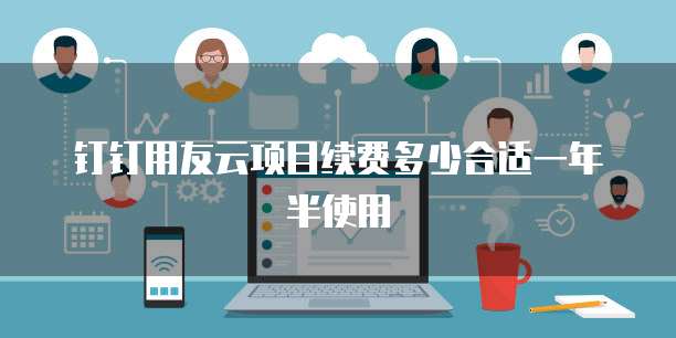 钉钉用友云项目续费多少合适一年半使用